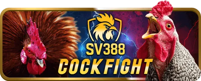 Cá cược thể thao yo88 code